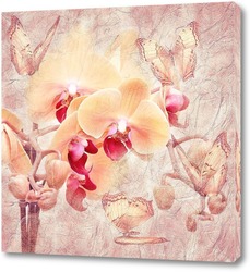   Постер Нежные орхидеи