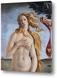    Botticelli-2