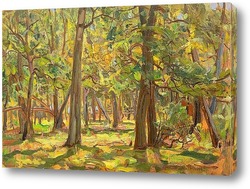   Постер Лиственный лес