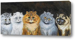   Постер Пять кошек