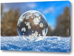   Постер Замёрзший мыльный пузырь в зимнем лесу