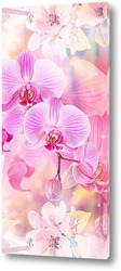   Постер Цветущая орхидея