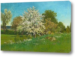   Картина Цветущее плодовое дерево