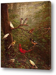   Постер Лесные птицы