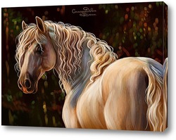   Постер Лошадь породы андалуз