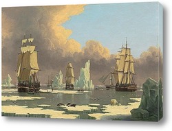   Картина Охота на китов на севере: «Лебедь» и «Изабелла»