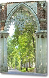   Постер Виноградные ворота