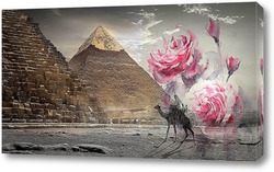   Постер Незабываемый египет