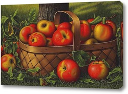  Постер Яблоки в корзине 