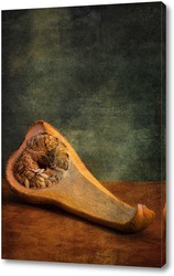   Постер Анатомия тыквы