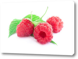   Постер Raspberry on white background
