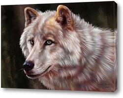   Картина Белая волчица