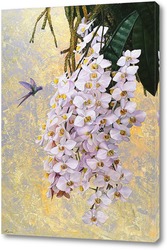   Постер Колибри и орхидеи