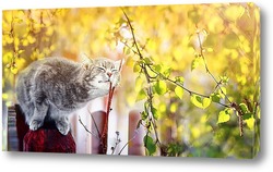   Постер кошка весной