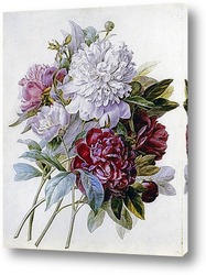   Картина Букет с красными, белыми и розовыми пионами