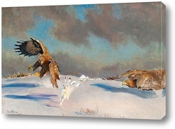   Постер Зимняя охота орлов на зайца
