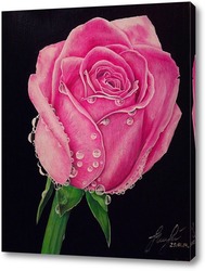   Картина Розовая роза.