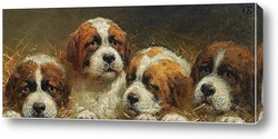   Постер Четыре щенка сембирнара