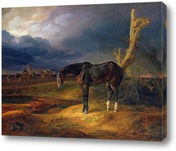   Картина Брошенная лошадь на поле боя в Можайске