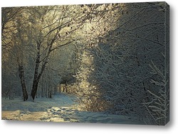   Постер Зимний, лесной пейзаж