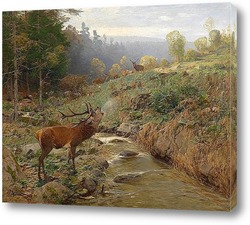   Картина Стадо оленей на лесной поляне