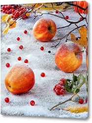   Постер Яблоки на снегу.