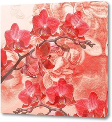   Постер Красные орхидеи