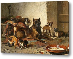   Картина Бульдог и щенки