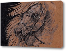   Постер Арабская лошадь