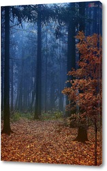   Постер Туманный лес.
