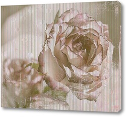   Постер Кремовые розы