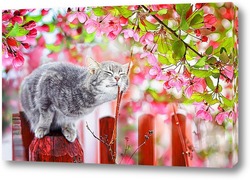   Постер котенок в майском саду