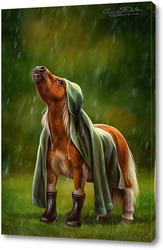   Картина Пони под дождем