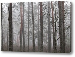   Постер туманный осенний  лес
