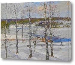   Постер Зимний пейзаж Норрланд с березами