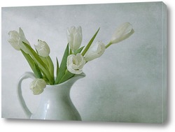   Постер Белые тюльпаны 