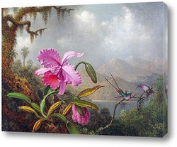   Постер Орхидеи и колибри