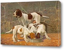  Постер Охотничьи щенки