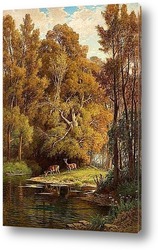   Постер Сцена в лесу с оленями