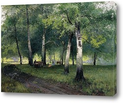   Постер Березовый лес. 1908