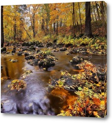   Постер Бурный ручей в осеннем лесу