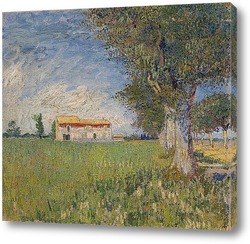   Картина Сельский дом в поле пшеницы