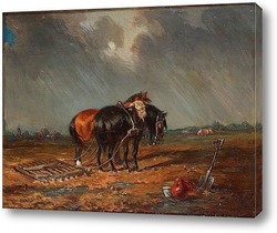   Картина Лошади на поле.