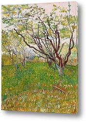   Постер Сад в цвету