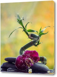   Постер Бамбук и орхидея