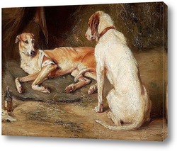   Картина Две собаки