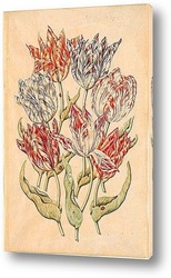   Постер Семь тюльпанов, три божьи коровки 
