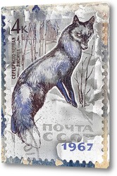   Постер Серебристо-черная лисица