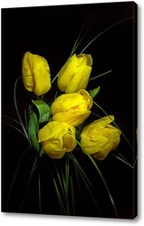  Постер желтые тюльпаны
