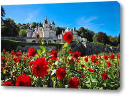    Замок Юссе, долина Луары, Франция летним солнечным днем на фоне цветущих красных георгинов